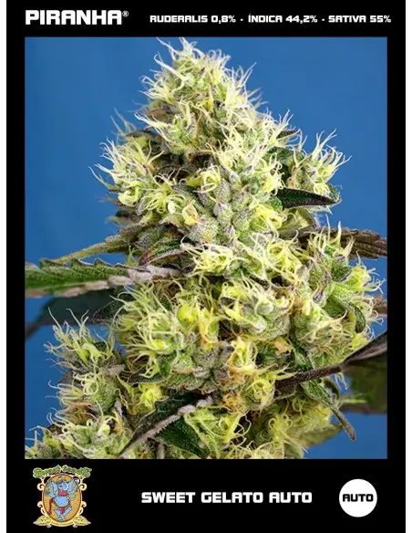 Sweet Gelato Auto (3+1u)