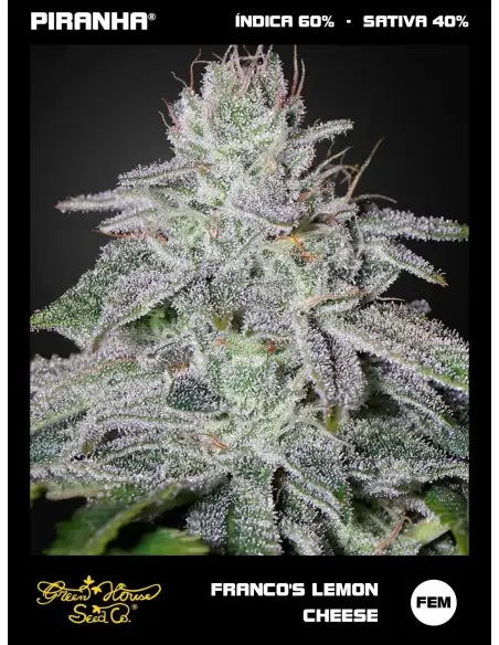 Franco's Lemon Cheese (3u)
