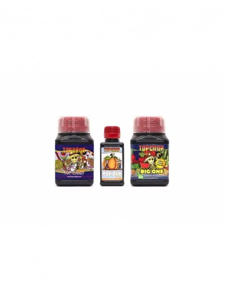 Bud Pack 600mL