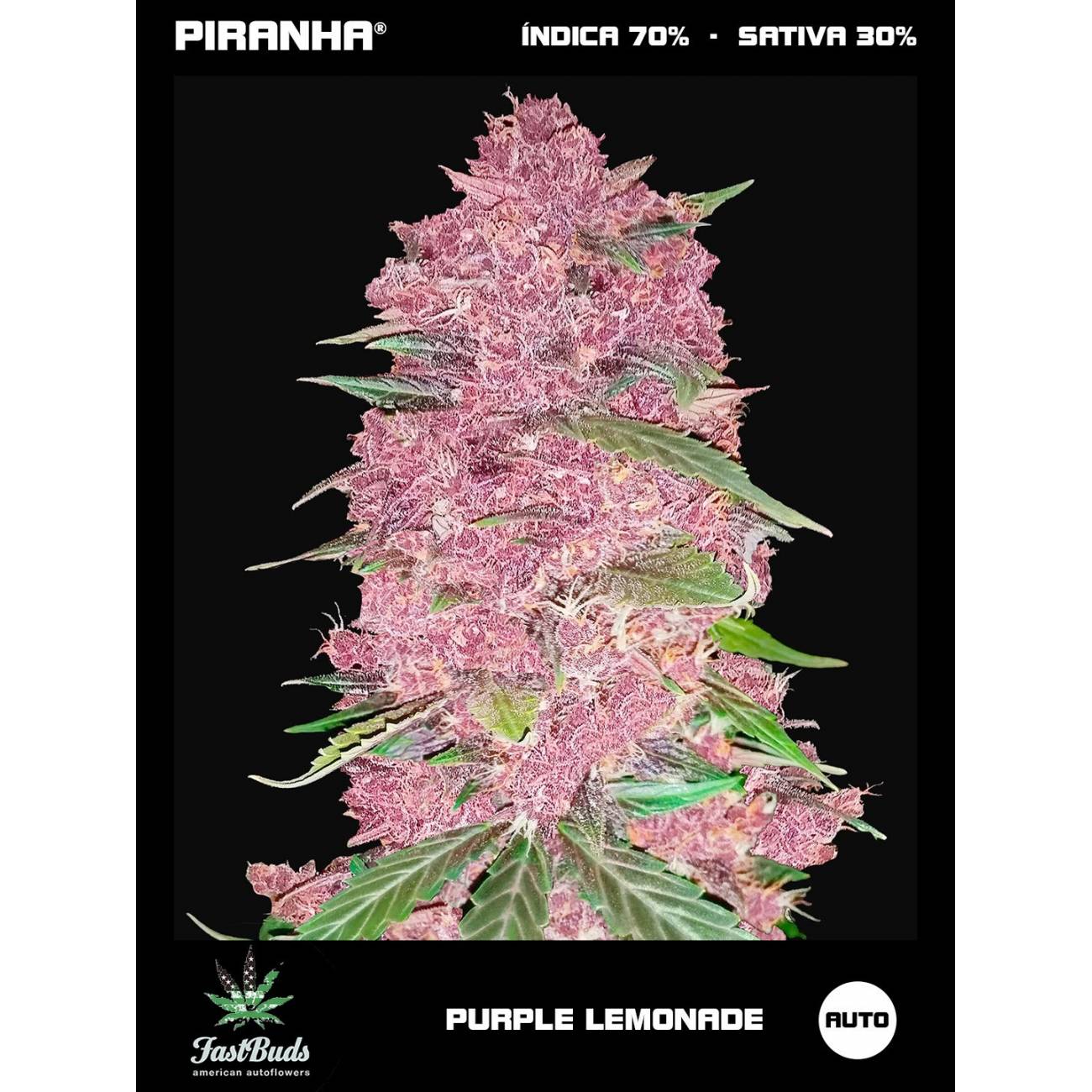 Purple Lemonade Auto (1u/3+1u)