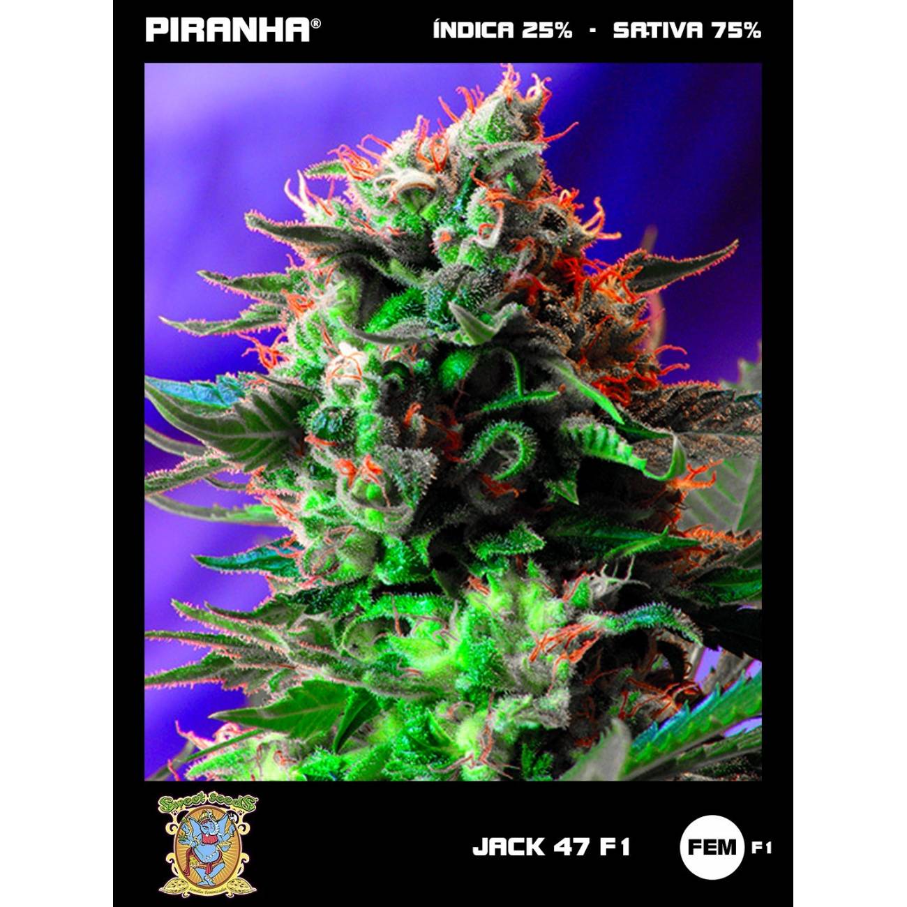 Jack 47 F1 (3+1u)