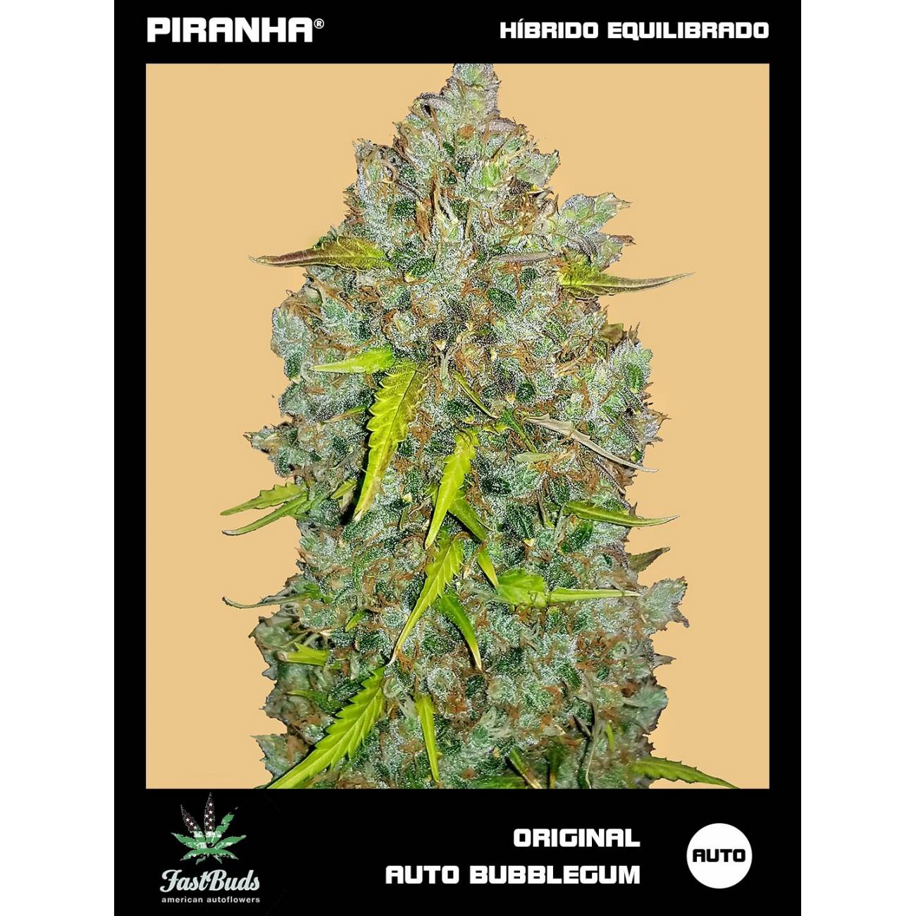 Original Bubblegum Auto (1u/3+2u)