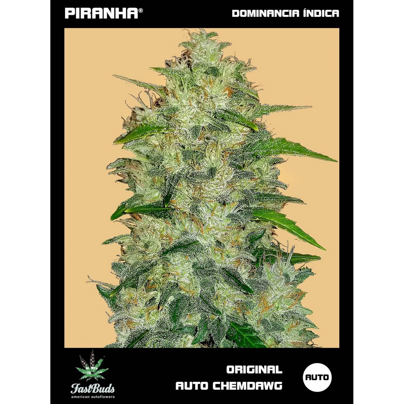 Original Chemdawg Auto (1u/3+1u)