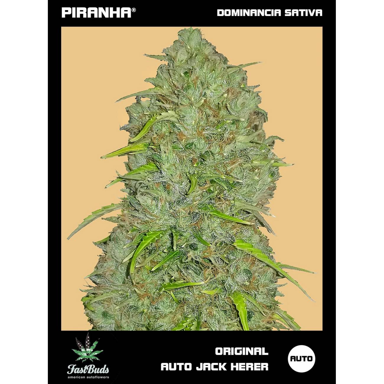Original Jack Herer Auto (1u/3+2u)