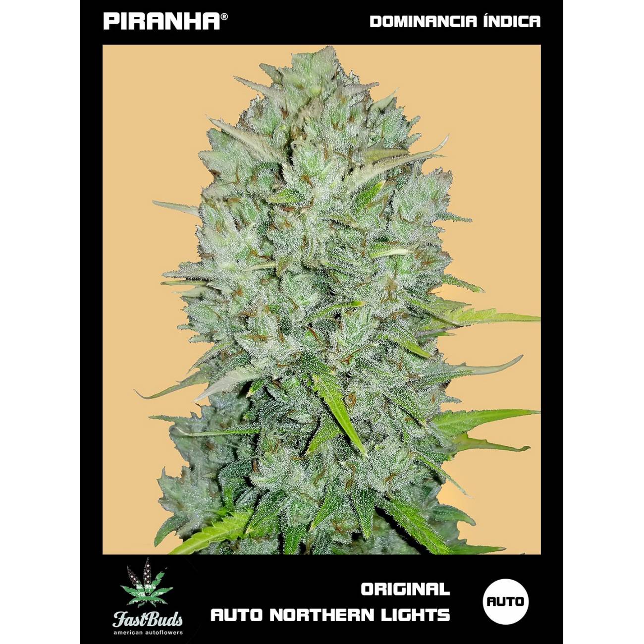 Original Northern Lights Auto (1u/3+1u)