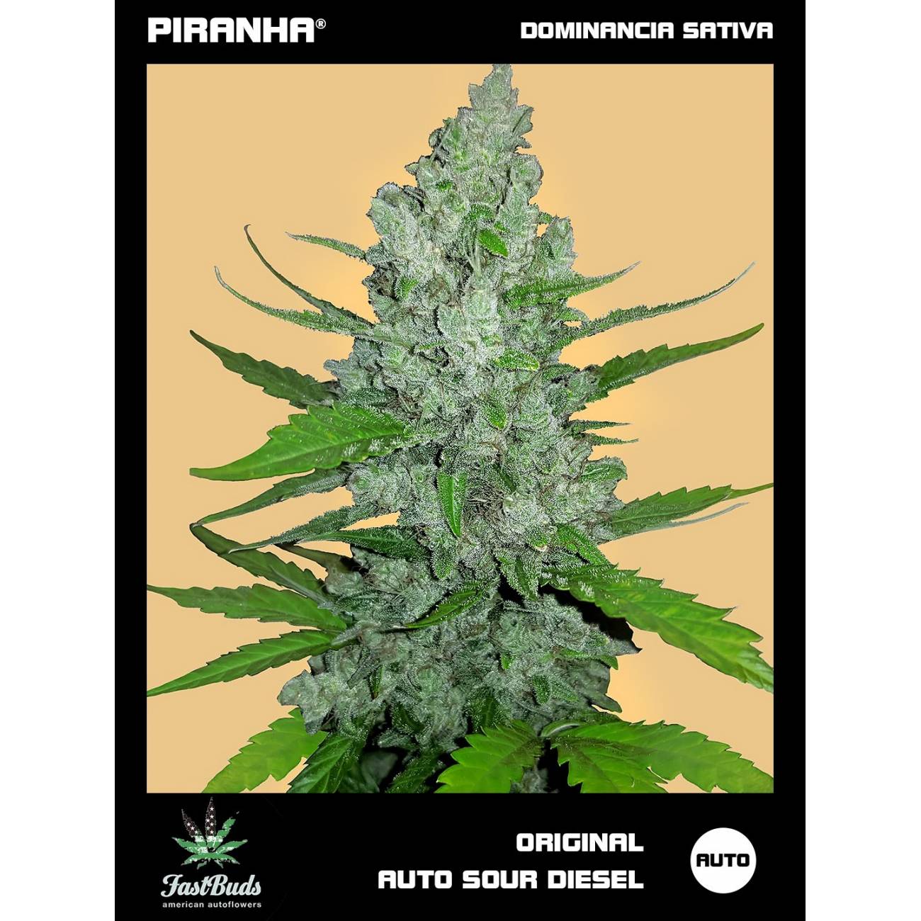 Original Sour Diesel Auto (1u/3+1u)