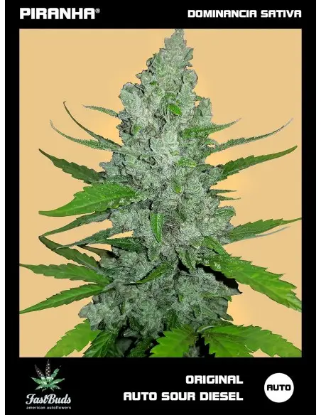 Original Sour Diesel Auto...