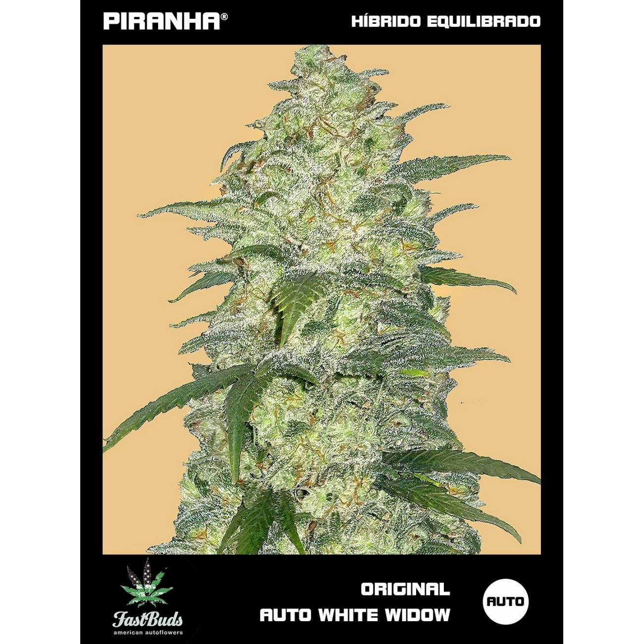 Original White Widow Auto (1u/3+1u)