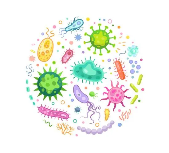 Microorganismos