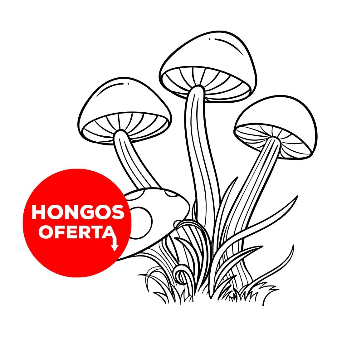 Wellness Ofertas