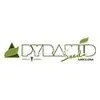 Pyramid Seeds