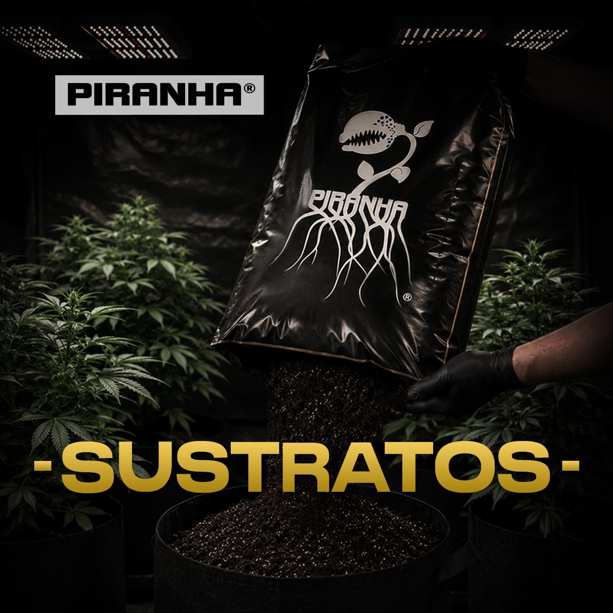 SUSTRATOS