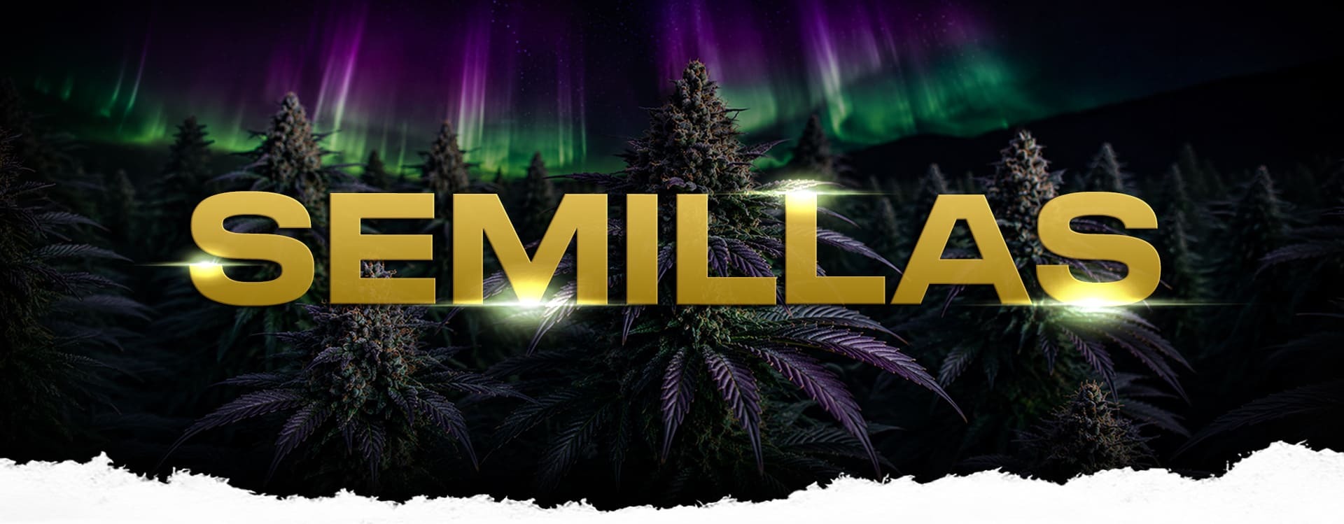 SEMILLAS