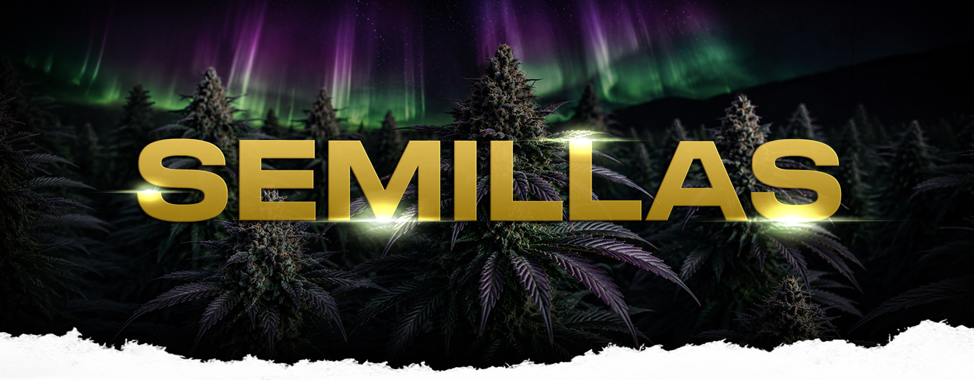 SEMILLAS