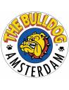 Bulldog