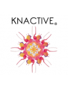 Knactive