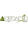 Pyramid Seeds
