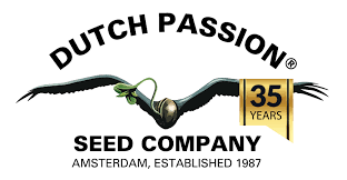 Dutch Passion