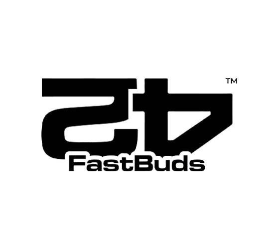 FastBuds
