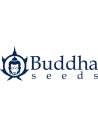 Buddha Seeds