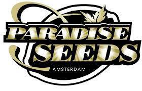 Paradise Seeds